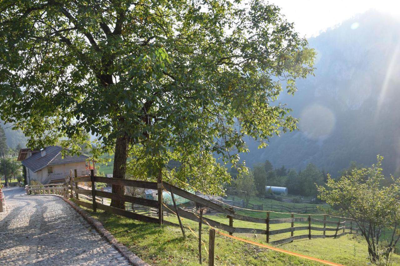 Agriturismo Athabaska Сан-Лоренцо-ин-Банале Экстерьер фото